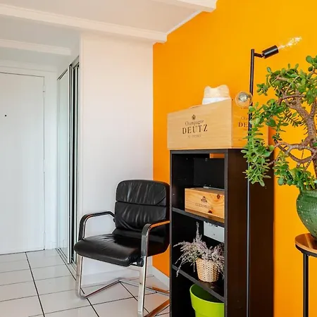 Sunny Duplex Close To Croisette, Free Parking Apartment