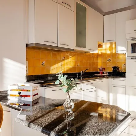 Sunny Duplex Close To Croisette, Free Parking Apartment *